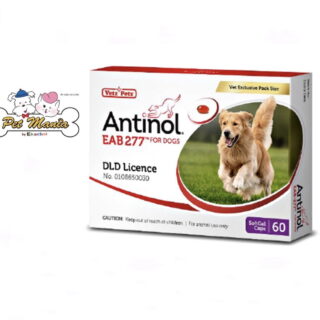 Antinol Dog