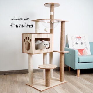 Large minimalist wooden cat condo