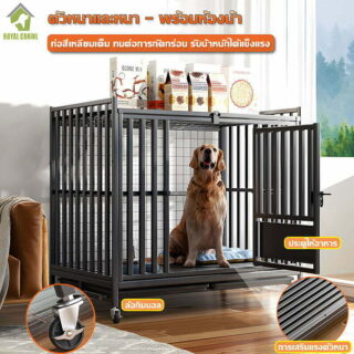 Large square tube dog cage