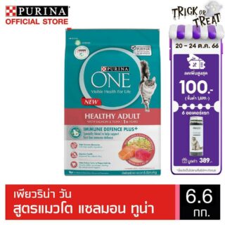 Purina One cat food 6.6 kg