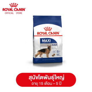Royal Canin Maxi Adult