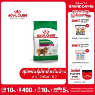 Royal Canin Mini Indoor Adult