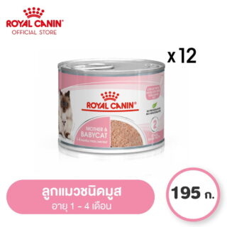 Royal Canin Starter Mother Baby Cat Can Tray