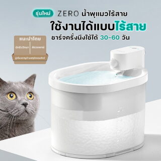 Smart Cat Fountain
