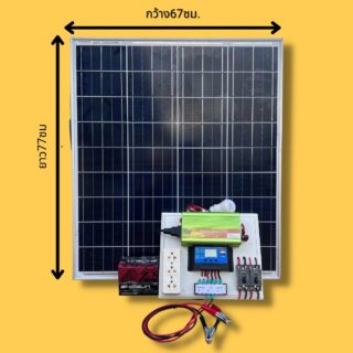 ชุดนอนนา 1000W 12V