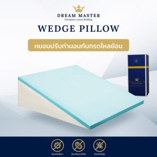 Dream master wedge pillow