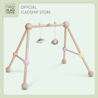 ของเล่นไม้เพลย์ยิม