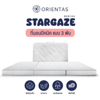 ที่นอนพับได้แบบญี่ปุ่น