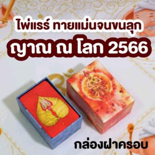 ไพ่ญาณ ณ โลก 2566