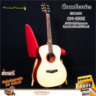 Cranberries om sr3e guitar