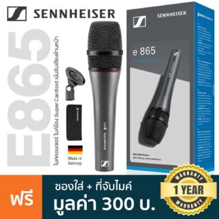 E865 condenser vocal mic