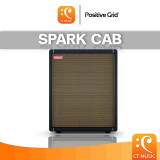 Positive grid spark cab